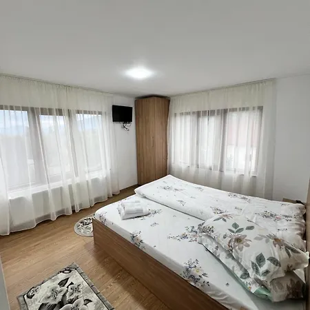 Casa Linistea Muntilor Holiday home